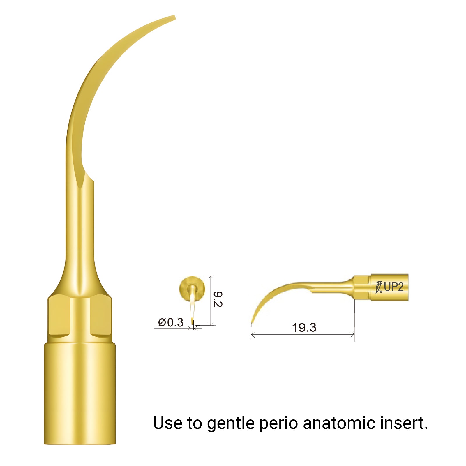 Woodpecker UP2 Piezo Bone Surgery Tip 1 PC - azdentall.com
