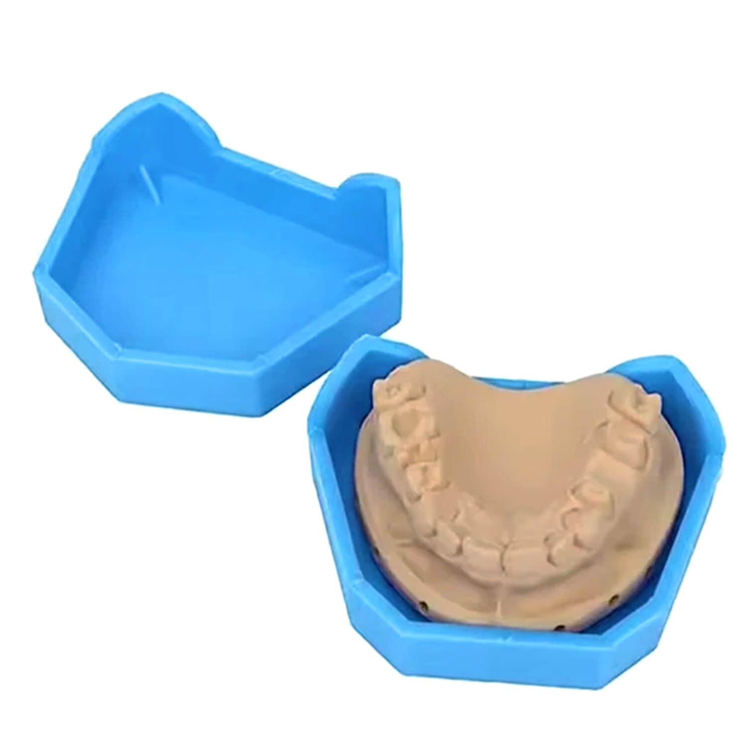 Dental Model Base Silicon Rubber Plaster Denture Tray Impression Former Base 6pcs/Set - azdentall.com