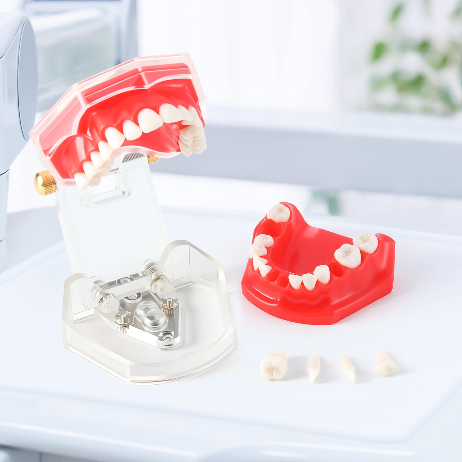 Teeth Model 2 Implants Tooth Model Dental Inferior... - Grandado