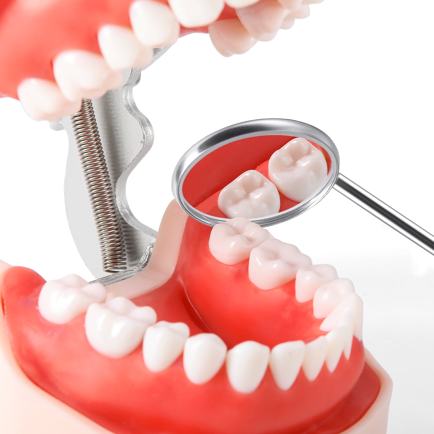 Dental Mouth Mirror Autoclavable Standard (120°C) / Surgical Grade (130°C) 12pcs/Box