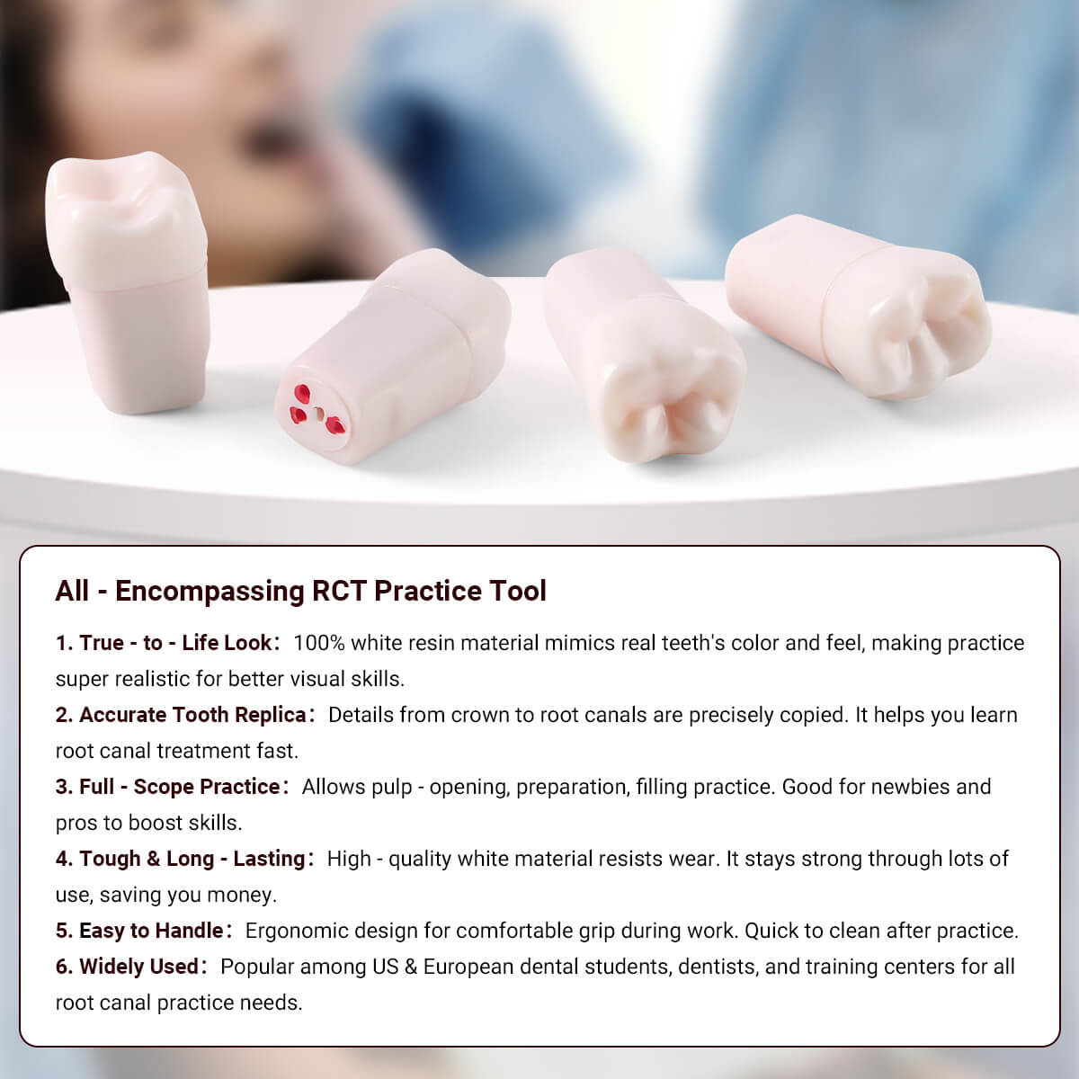 Dental Endo Teeth Model White Root Canal Practice Block RCT Study Training Teaching 5Pcs/Set - azdentall.com