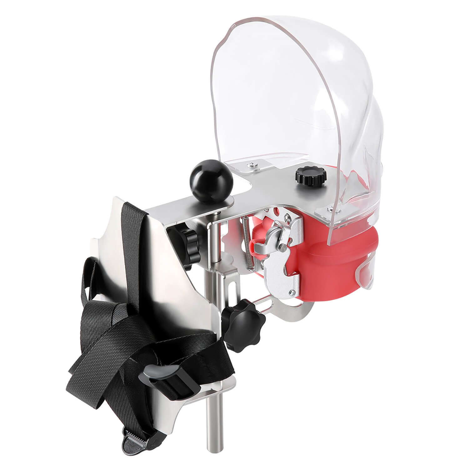 Dental Simulation Mannequin Teaching Head Model with Adjustable Straps - azdentall.com
