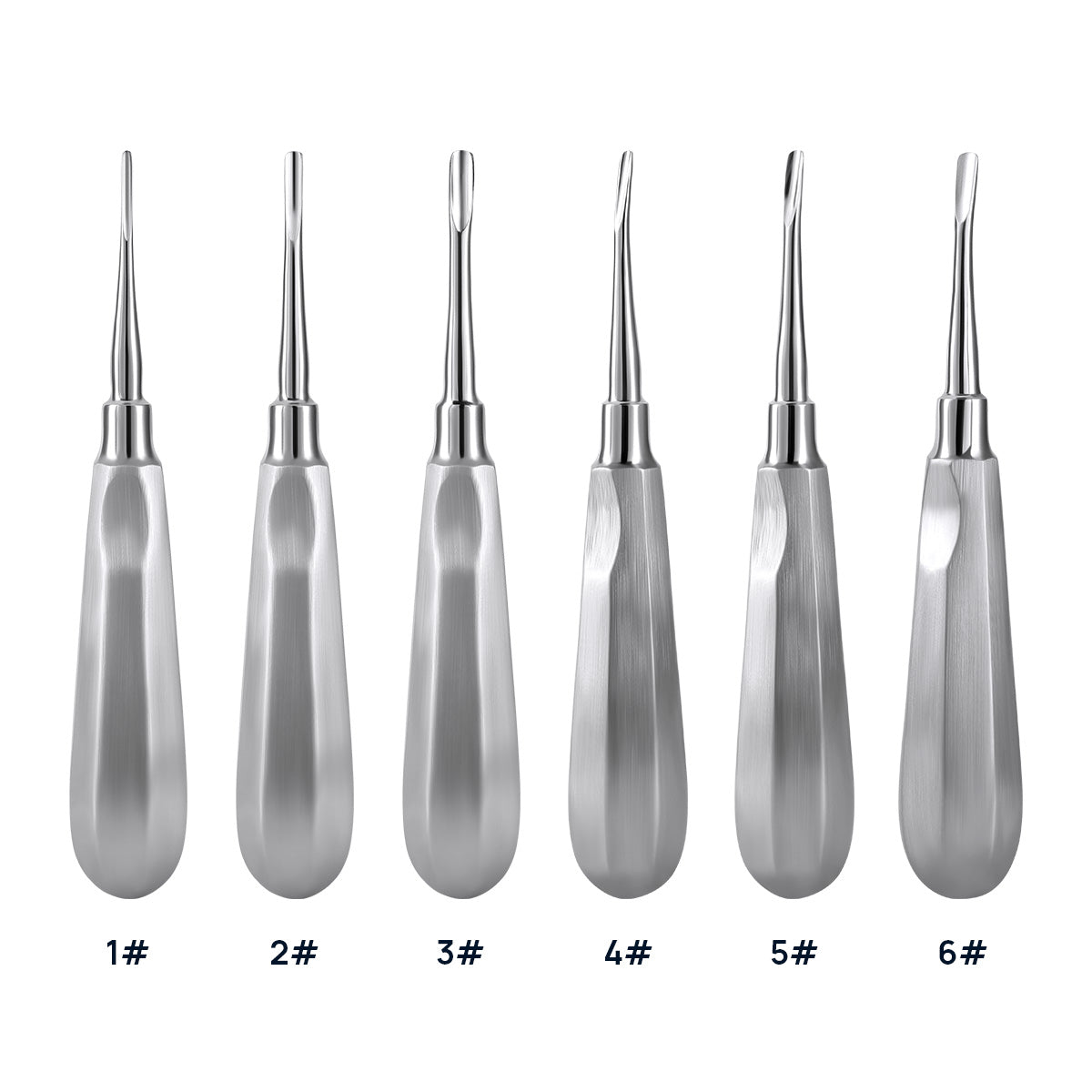 Dental Surgical Instrument Teeth Elevators Straight/Curved 6 Sizes AZDENT