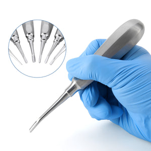 Dental Surgical Instrument Teeth Elevators Straight/Curved 6 Sizes- azdentall.com