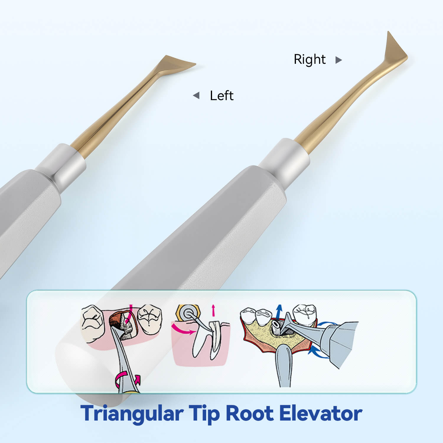 Dental Tooth Extracting Elevators Gold Tips - azdentall.com