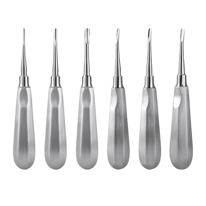 Dental Surgical Instrument Teeth Elevators Straight/Curved 6 Sizes – AZDENT