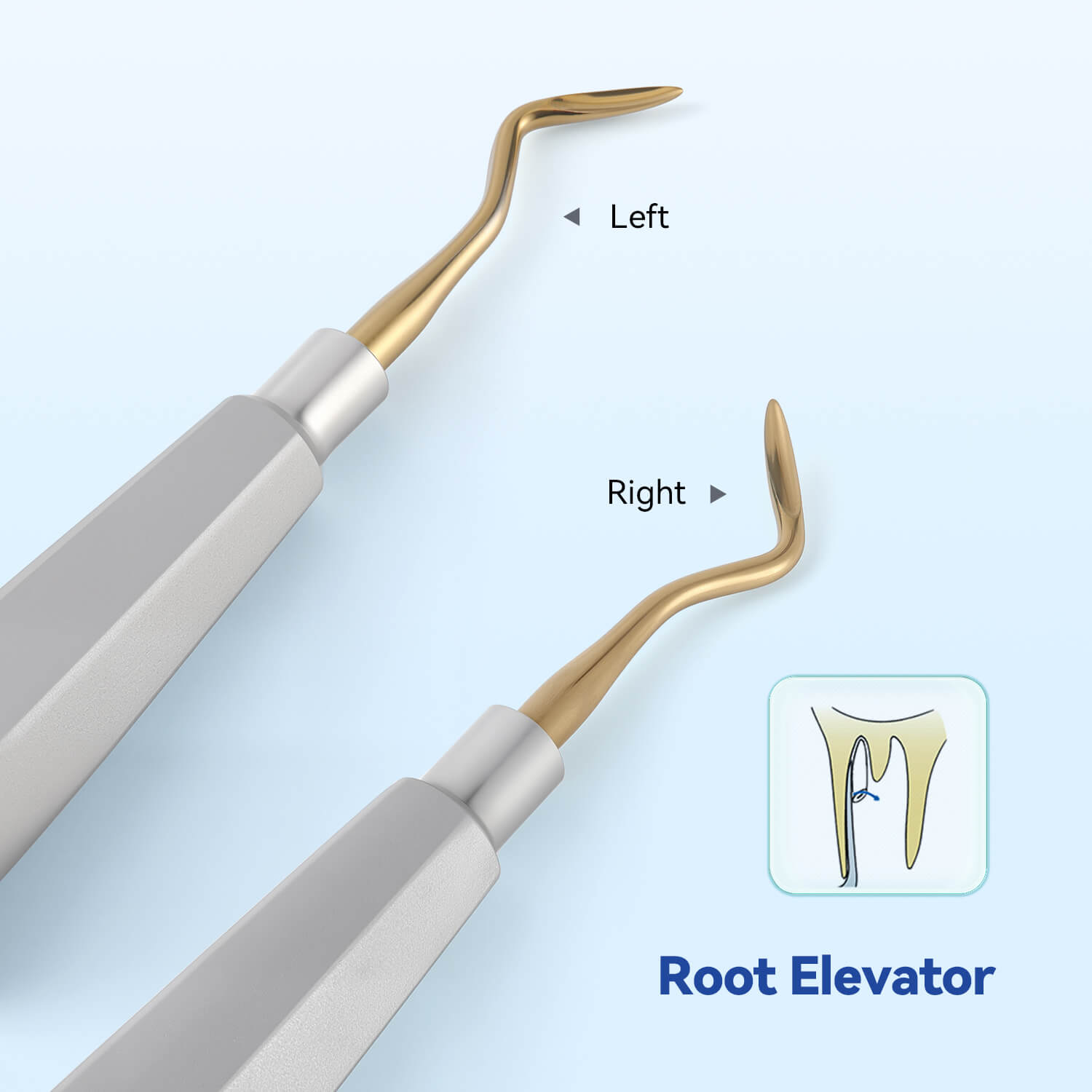 Dental Tooth Extracting Elevators Gold Tips - azdentall.com