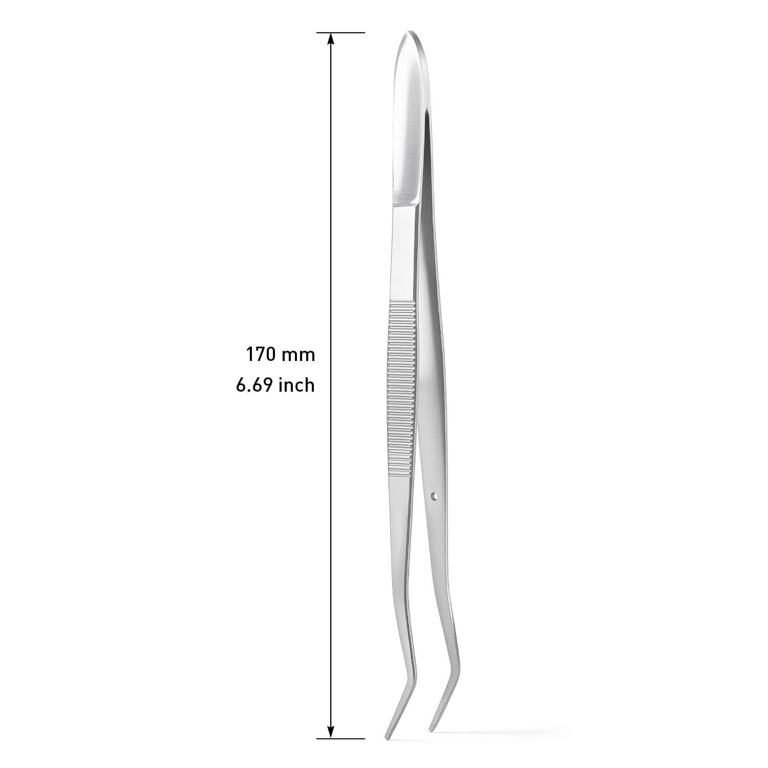 Dental Curved Serrated Tip Tweezers Stainless Steel - azdentall.com