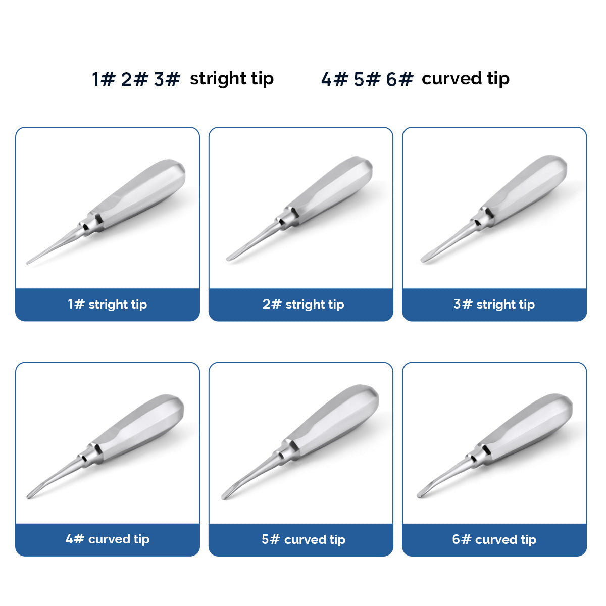 Dental Surgical Instrument Teeth Elevators Straight/Curved 6 Sizes- azdentall.com