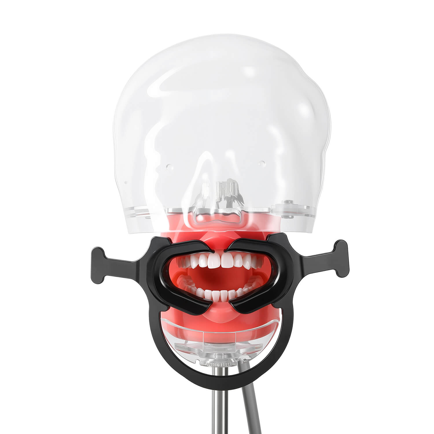 Dental Cheek Retractor Mouth Opener Cheek Expanders S/M/L Black - azdentall.com