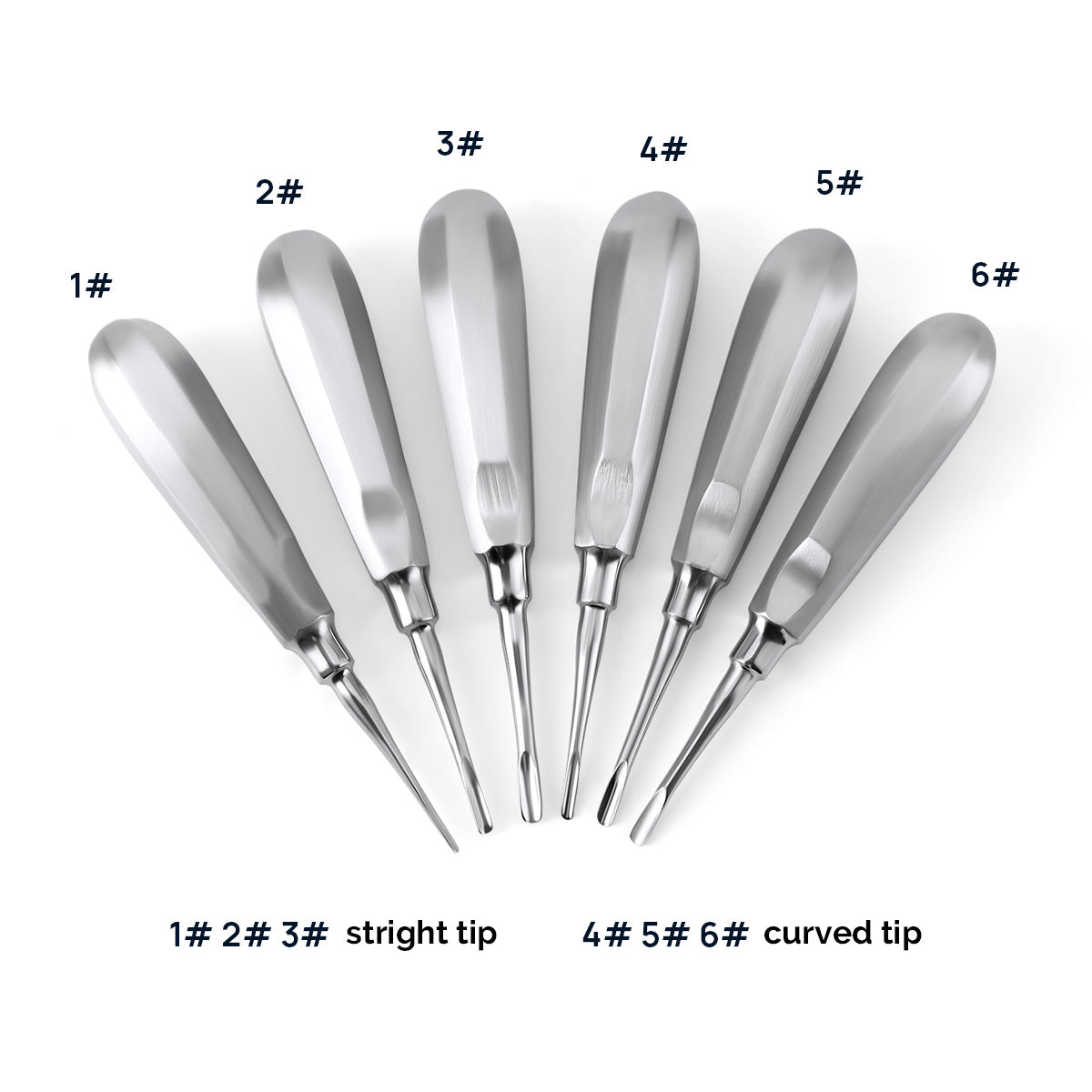 Dental Surgical Instrument Teeth Elevators Straight/Curved 6 Sizes- azdentall.com