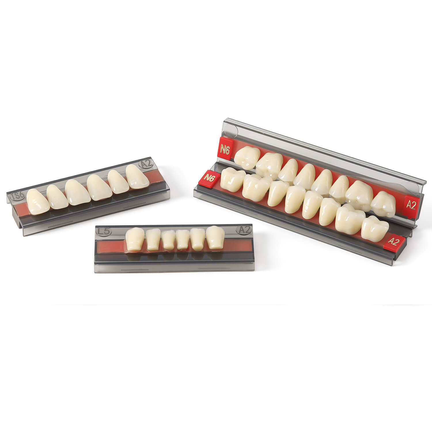 Dental Synthetic Resin Teeth Denture A1 A2 A3 Shade GL-I Two-Layer 28 Teeth/Set - azdentall.com