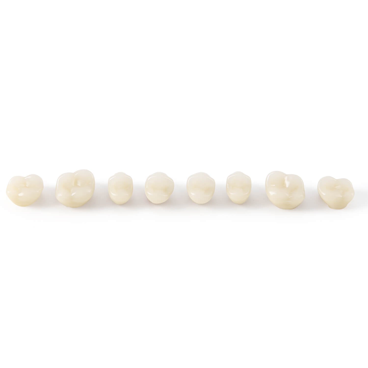 Dental Synthetic Resin Teeth Denture A1 A2 A3 Shade GL-I Two-Layer 28 Teeth/Set - azdentall.com