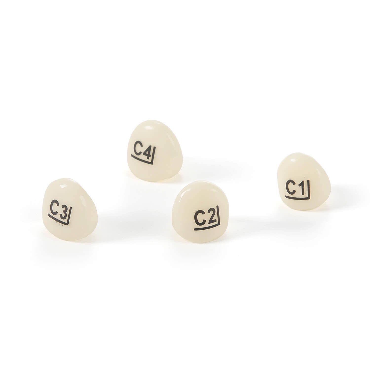 SANKIN ANATOM PRIMARY CROWNS上下乳歯冠　25ク122 SANKIN ANATOM PRIMARY CROWNS上下乳歯冠 25ク122 2025年最新】乳歯冠の