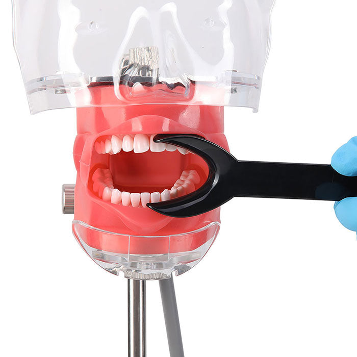 Dental T-Shape Double Head Cheek Retractors Mouth Opener Large & Small Black 4Pcs/Set - azdentall.com