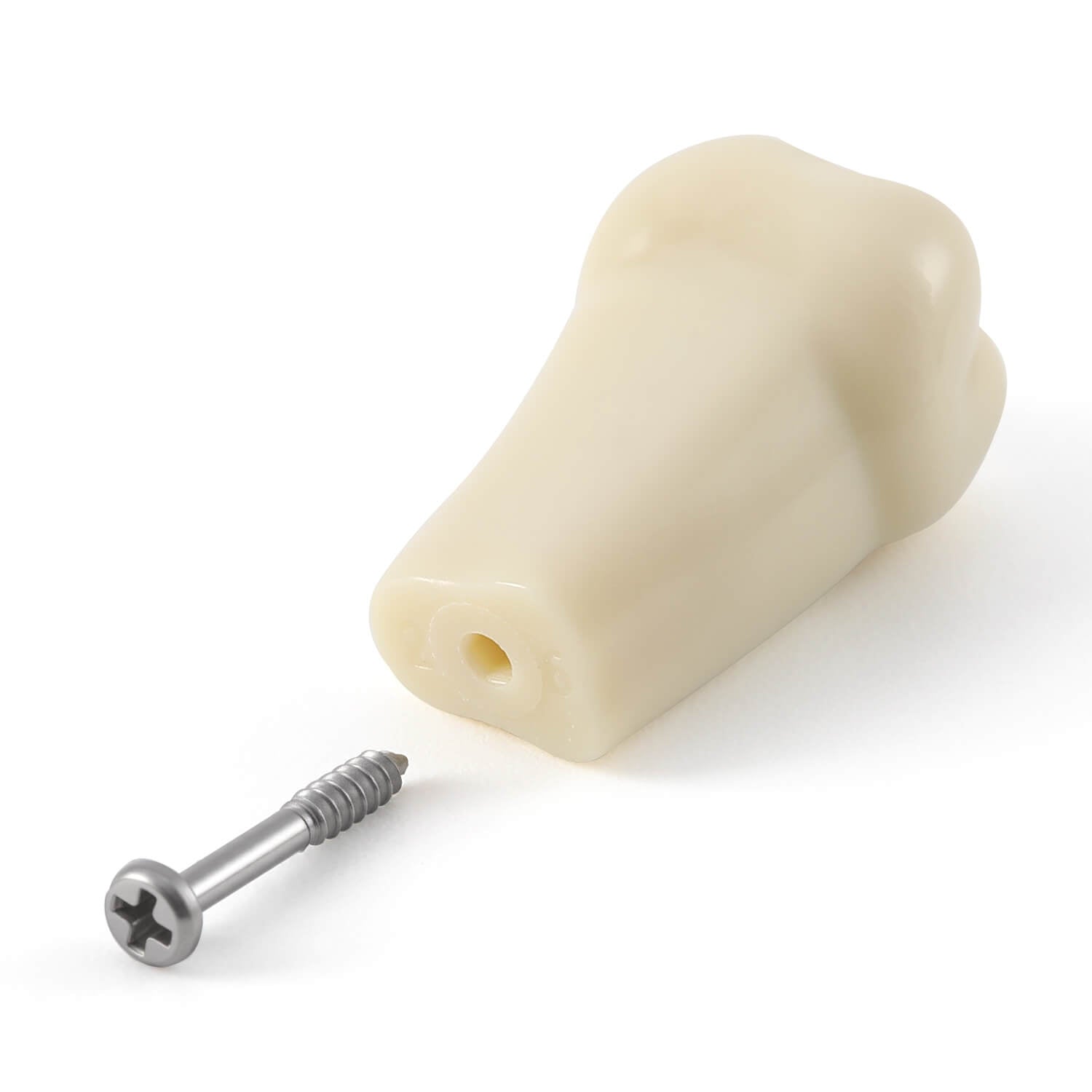 Dental Model Typodont 32Pcs Standard Resin Replacement Teeth with Screws Set - azdentall.com