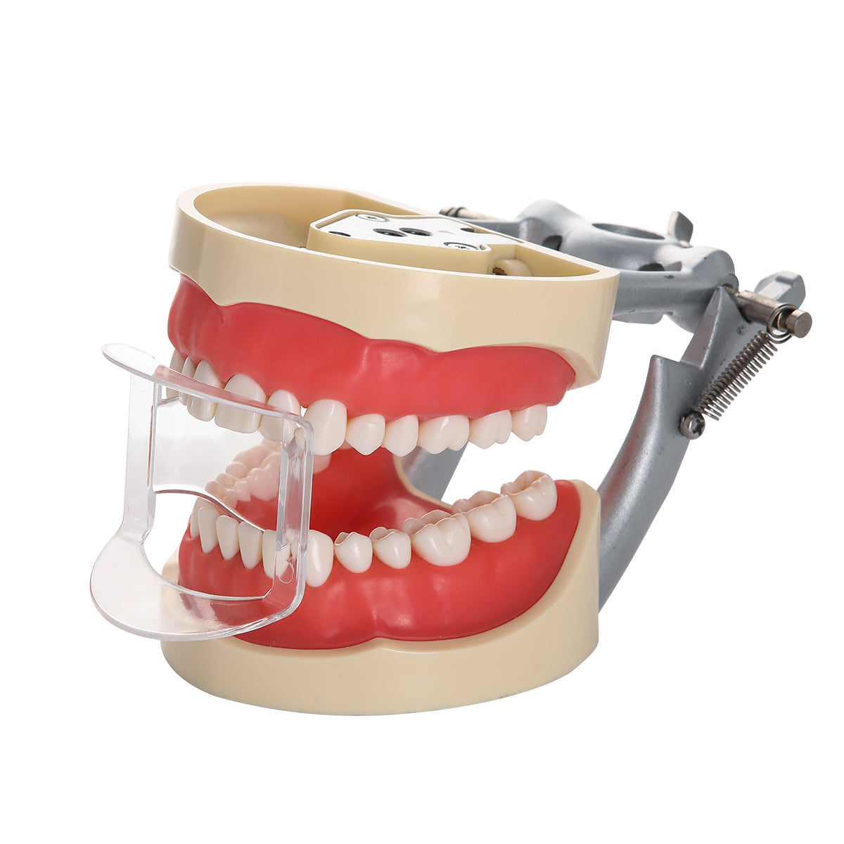 Dental Orthodontic Mouth Opener Lip Cheek Retractor Clear Plastic Ante ...