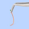 AZDENT Gutta Percha Points With Scale #15-40 Taper Size 0.02 Color Coded 120/Box - azdentall.com