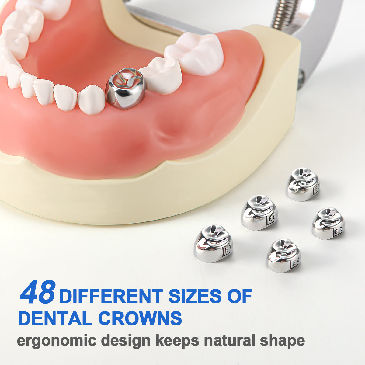 48 Sizes Dental Primary Molar Crown Teeth Preformed Stainless Steel Temporary Crowns 5pcs/Box - azdentall.com