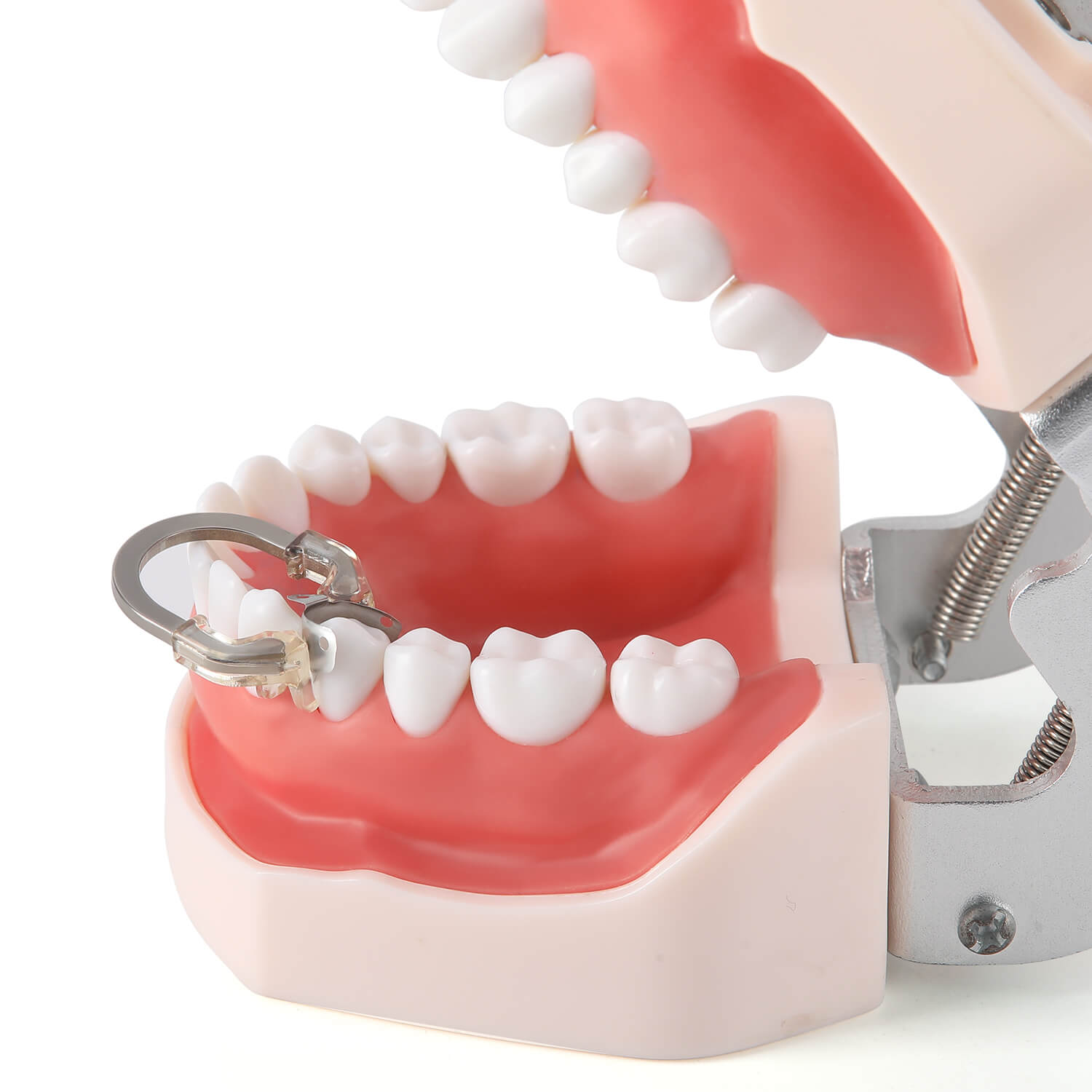 Dental Sectional Matrix System Sectional Contoured Matrix Bands Nickel Titanium Deep Clamping Ring Orange/Transparent 1 PC - azdentall.com