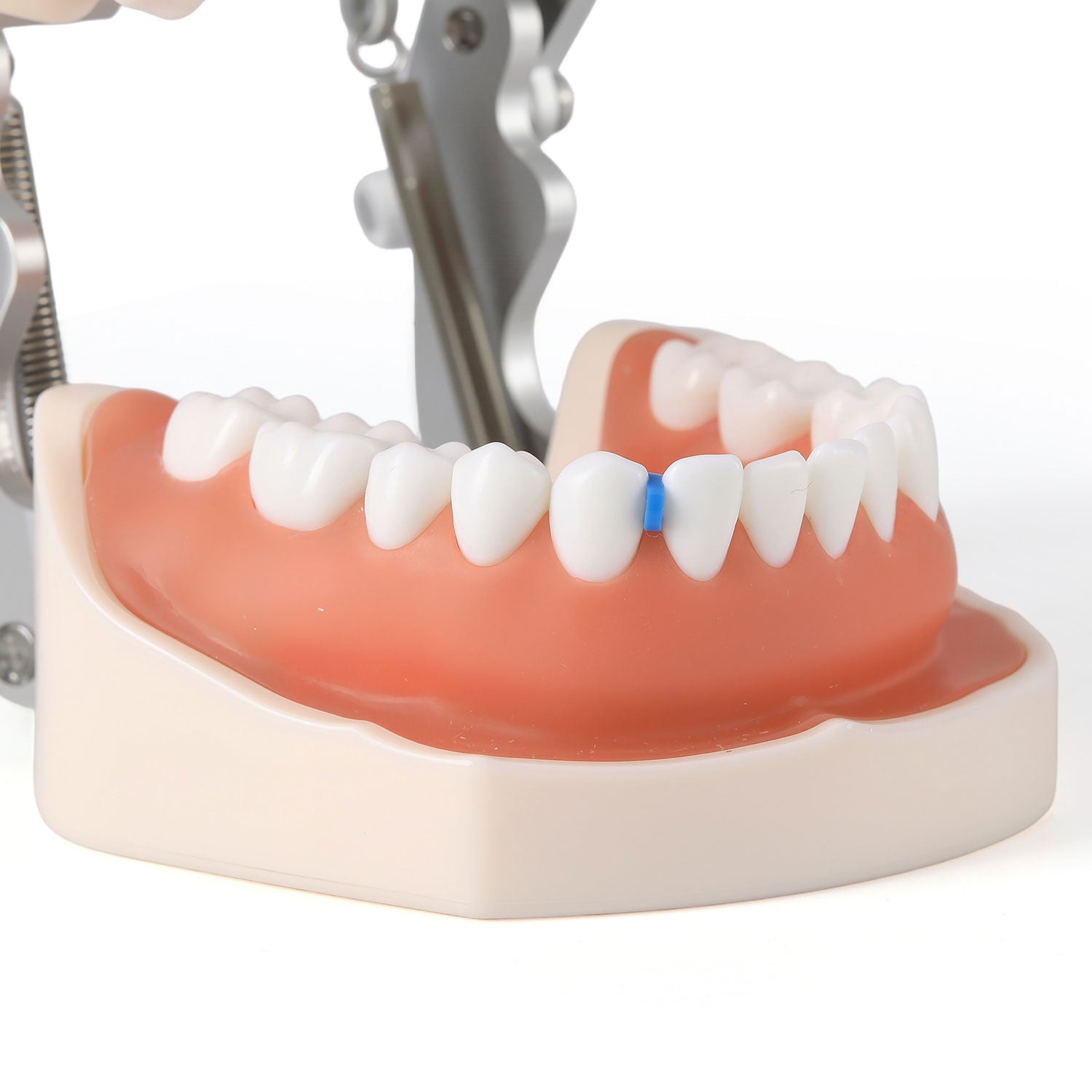 Dental Orthodontic Separator Ties Latex-free Blue Color 1000pcs/Bag - azdentall.com
