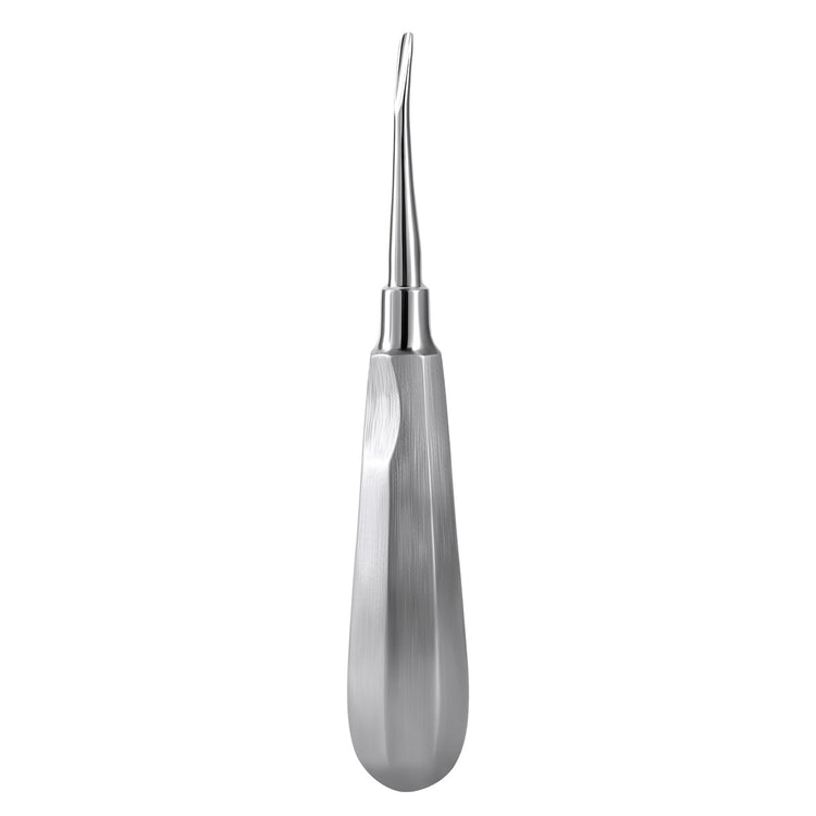 Dental Surgical Instrument Teeth Elevators Straight/Curved 4# - azdentall.com