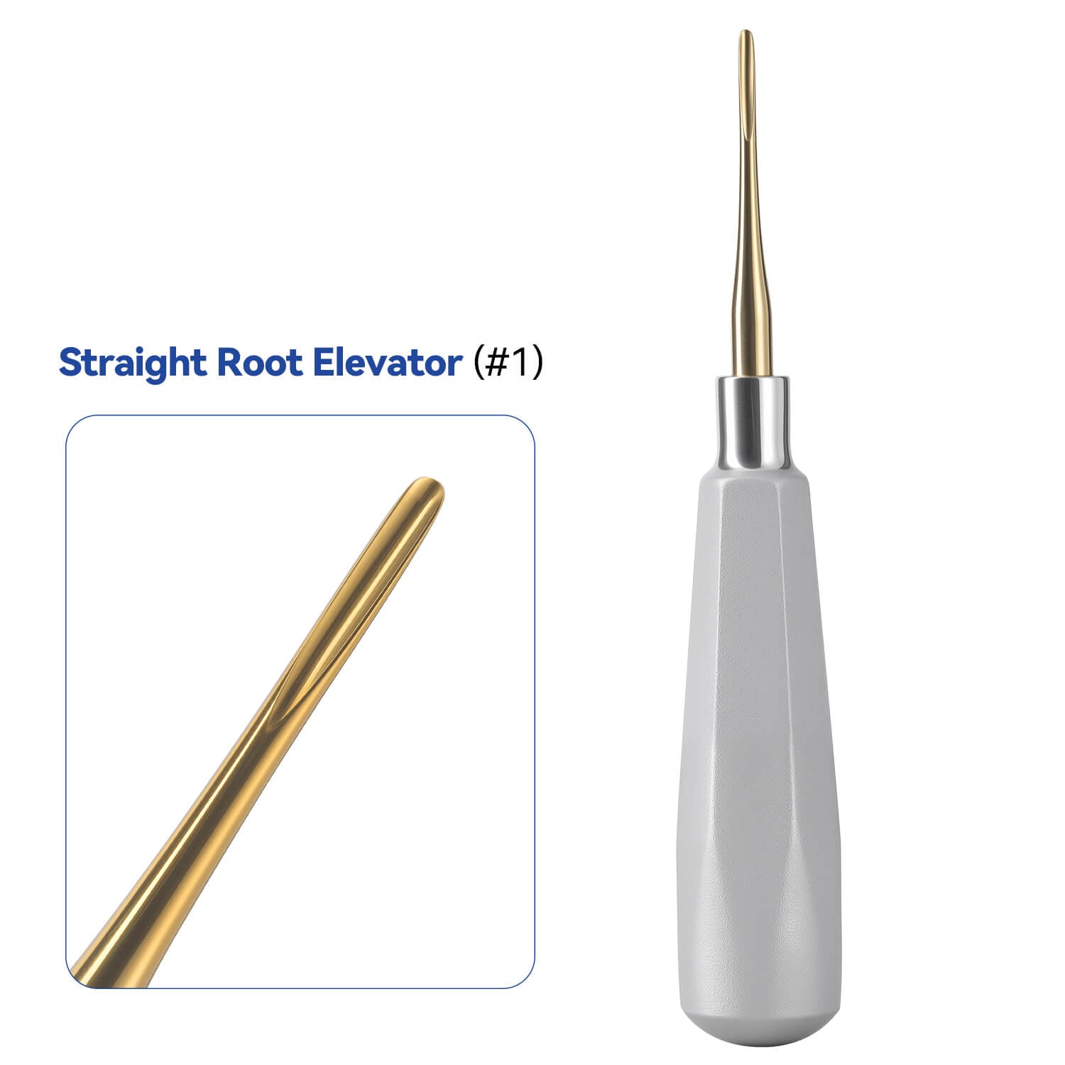 Dental Tooth Extracting Elevators Gold Tips - azdentall.com