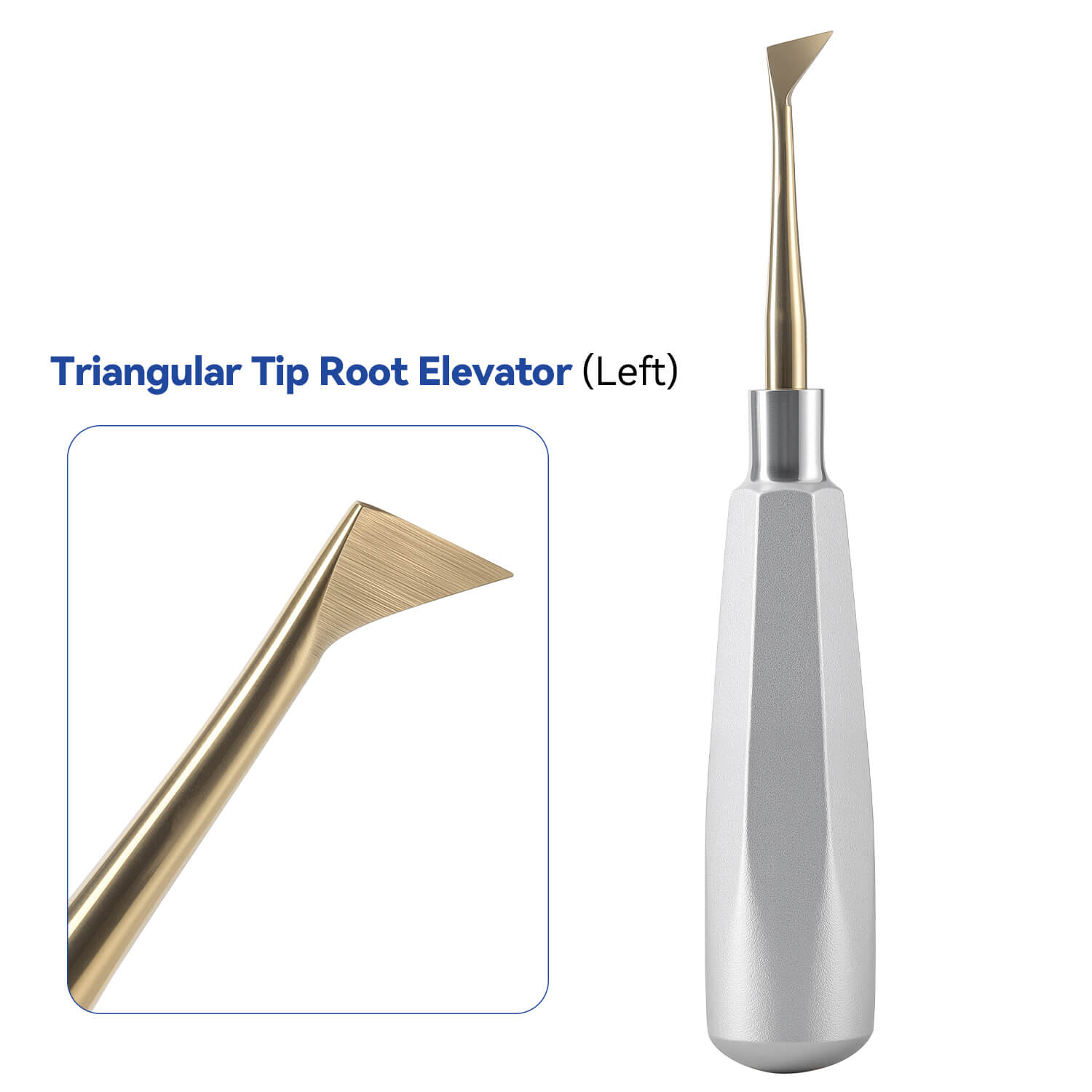 Dental Tooth Extracting Elevators Gold Tips - azdentall.com