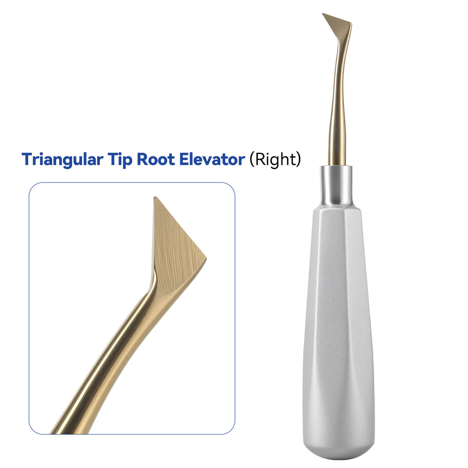 Dental Tooth Extracting Elevators Gold Tips - azdentall.com