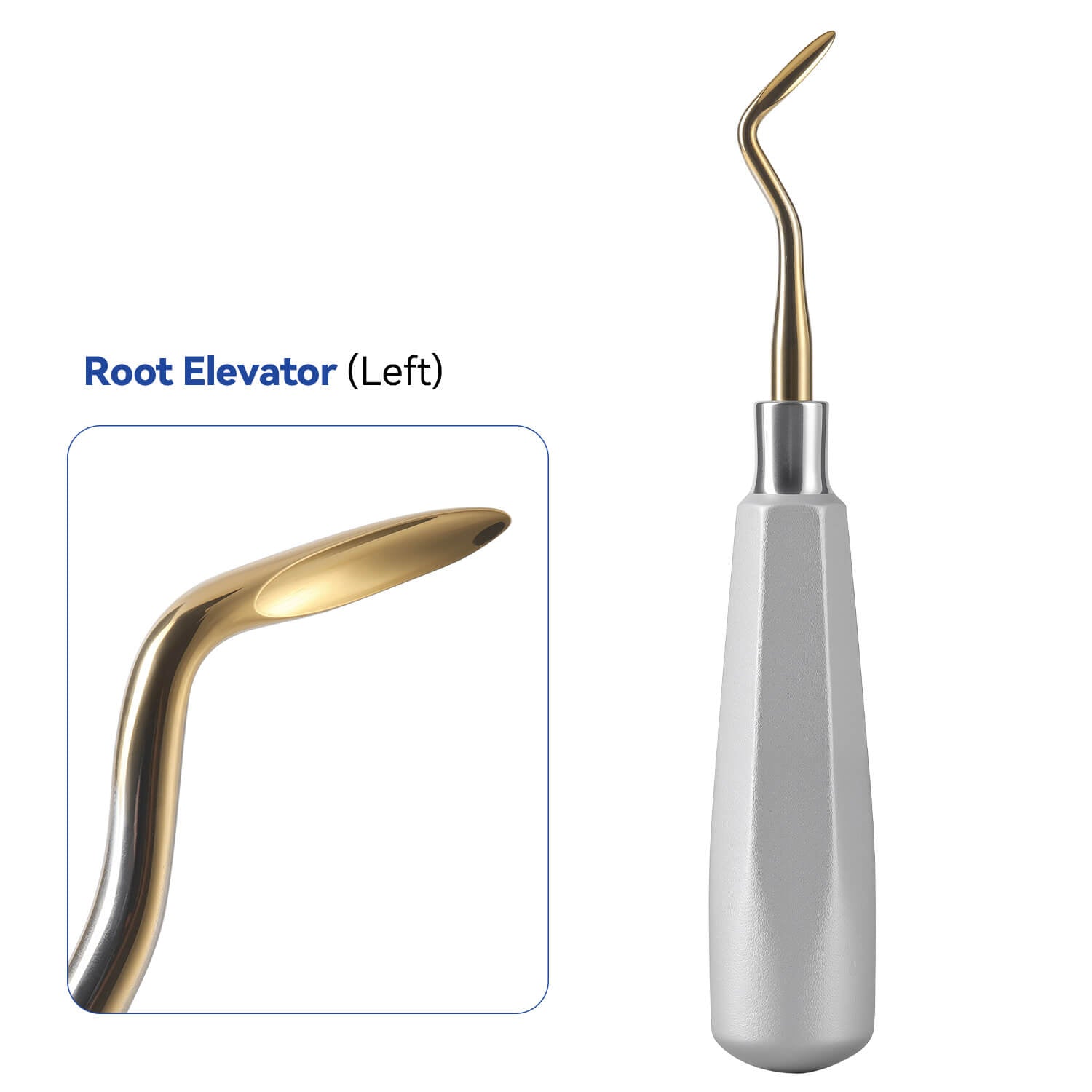 Dental Tooth Extracting Elevators Gold Tips - azdentall.com
