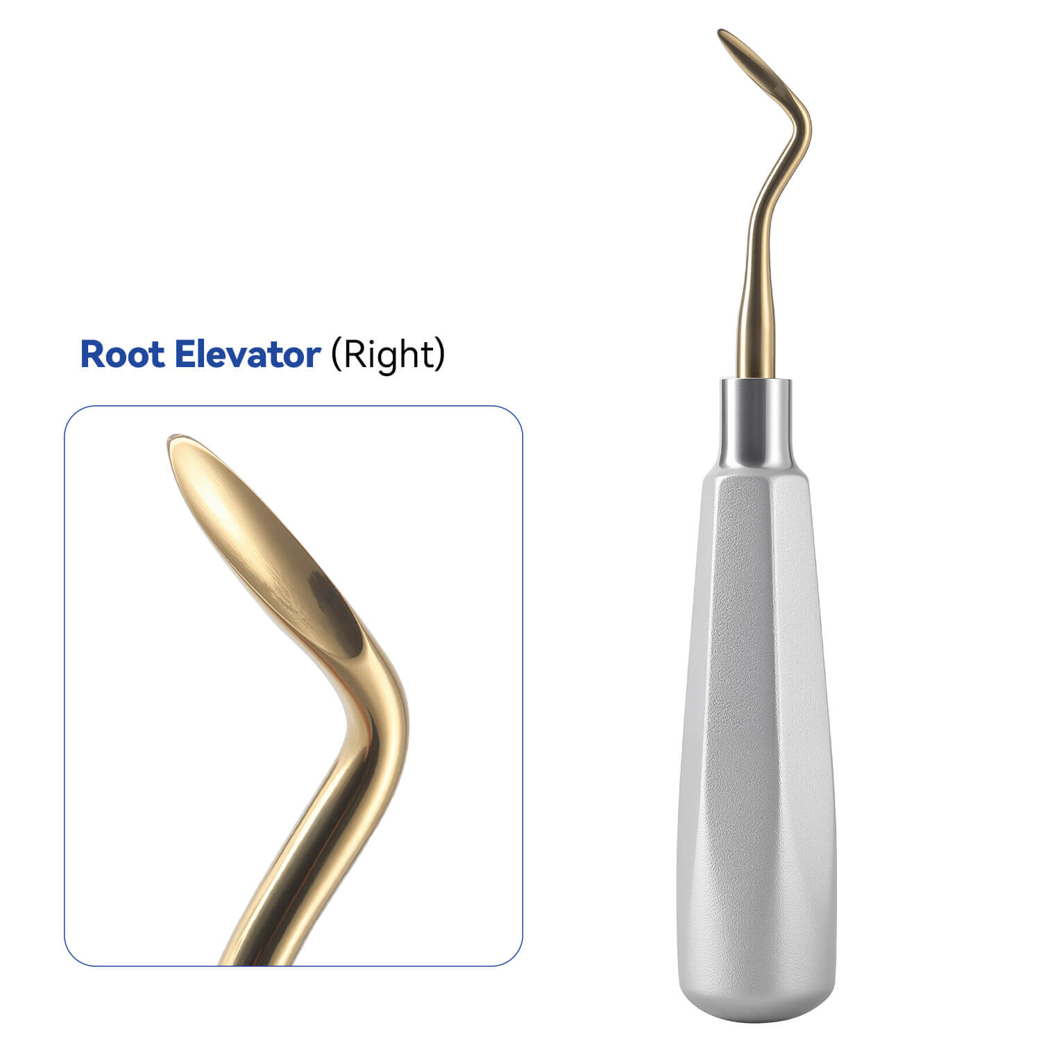 Dental Tooth Extracting Elevators Gold Tips - azdentall.com
