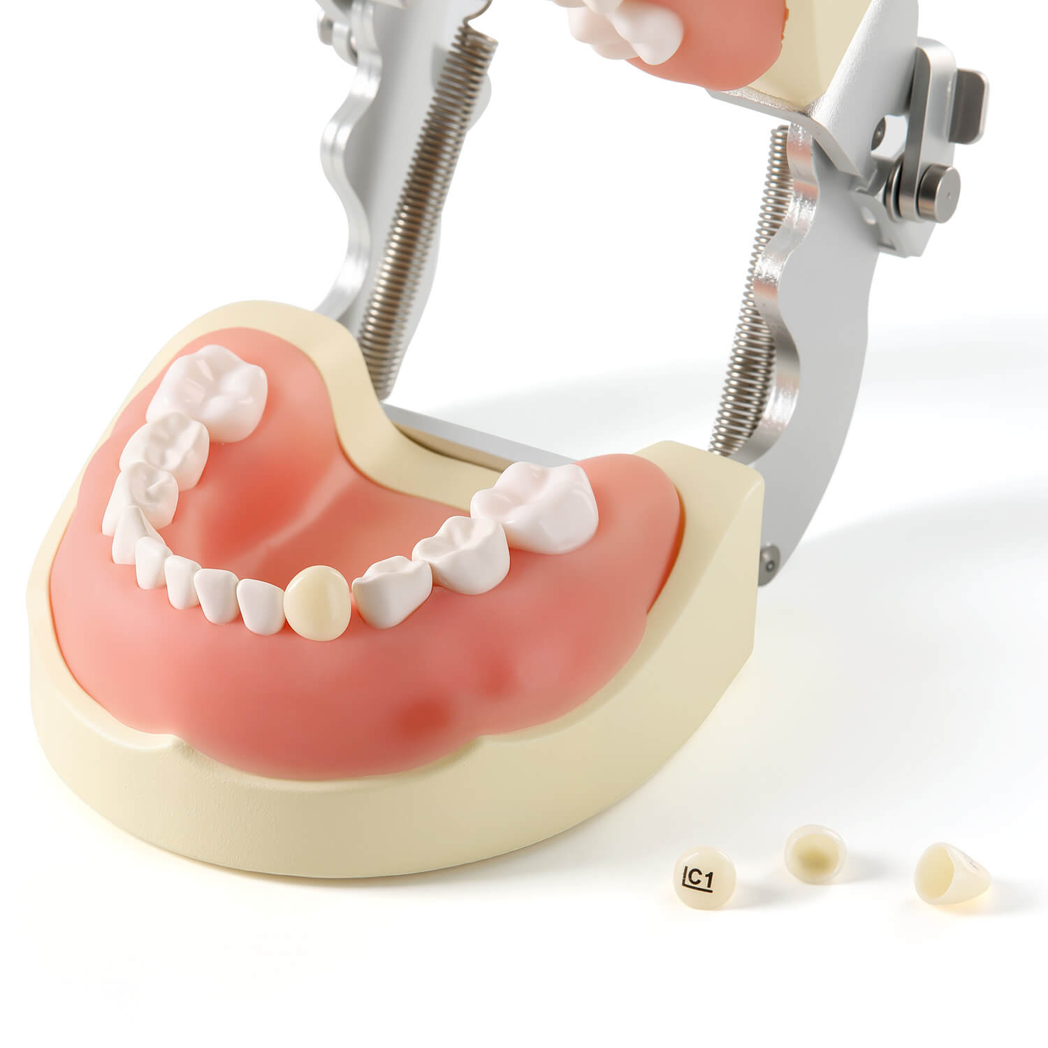 SANKIN ANATOM PRIMARY CROWNS上下乳歯冠　25ク122 2025年最新】乳歯冠の人気アイテム - メルカリ