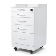 Dental C05A Quartz and Stainless Steel Four Drawer Mobile Cabinet & Two Instrument Tray - azdentall.com