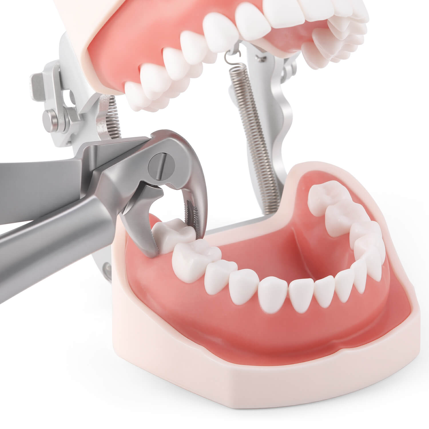 Dental Tooth Extraction Forceps Upper Lower Molar Wisdom Teeth Extracting Pliers - azdentall.com