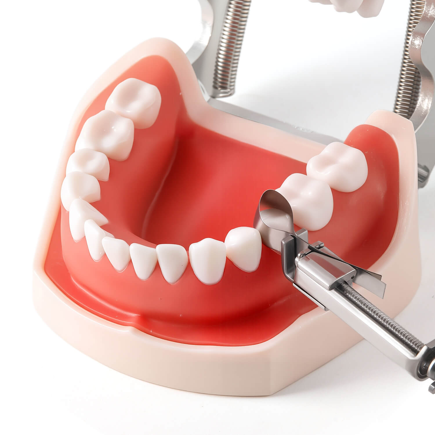 Dental Tofflemire Matrix Clip Retainer Universal Bands Holder Instruments - azdentall.com