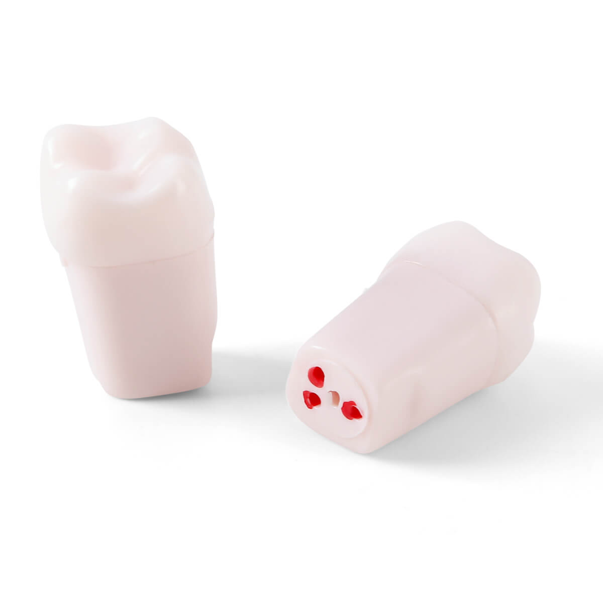 Dental Endo Teeth Model White Root Canal Practice Block RCT Study Training Teaching 5Pcs/Set - azdentall.com
