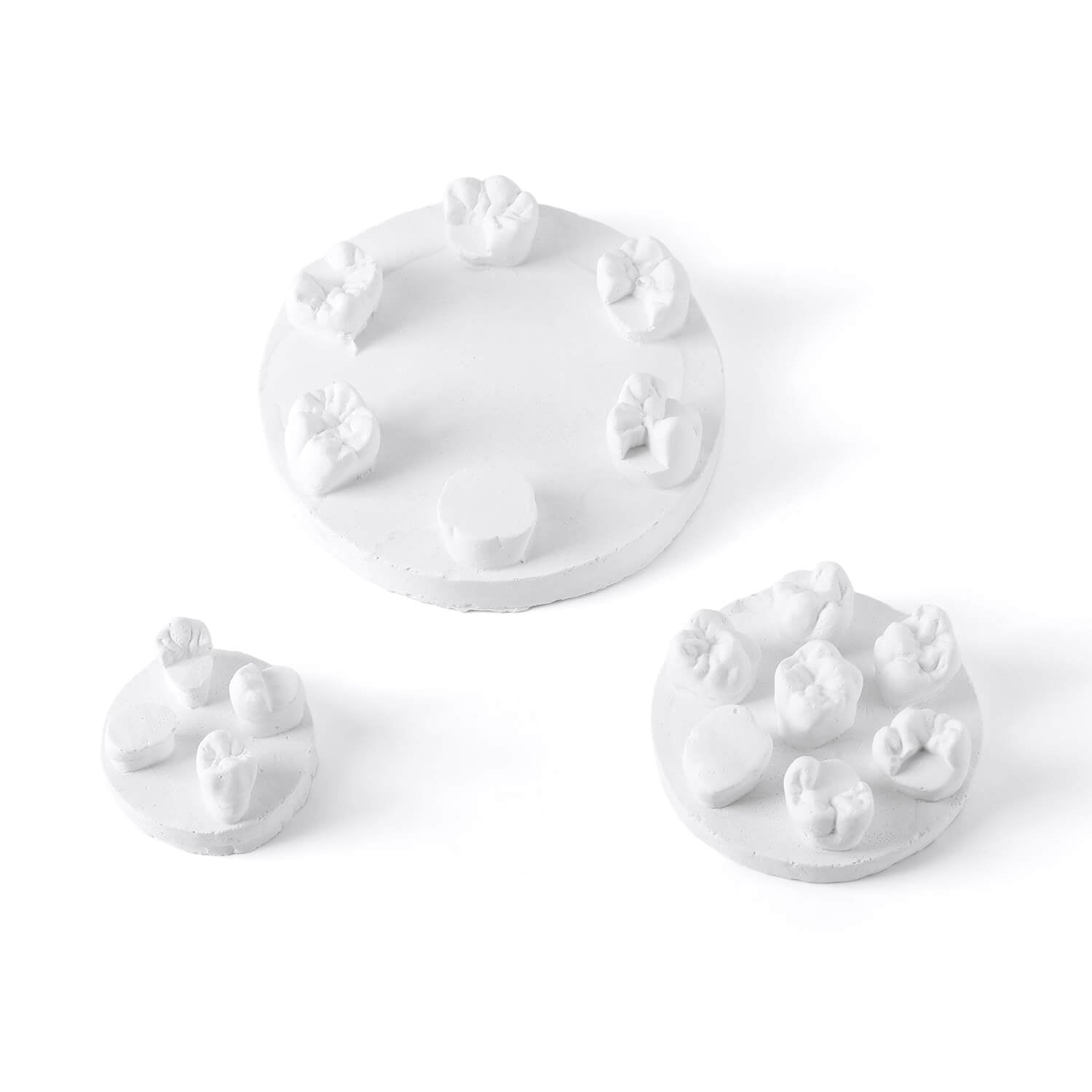 Dental Tooth Morphology Practice Model Gypsum/Resin Model Wax Up U6/L6/U4 Positions Training Kit - azdentall.com
