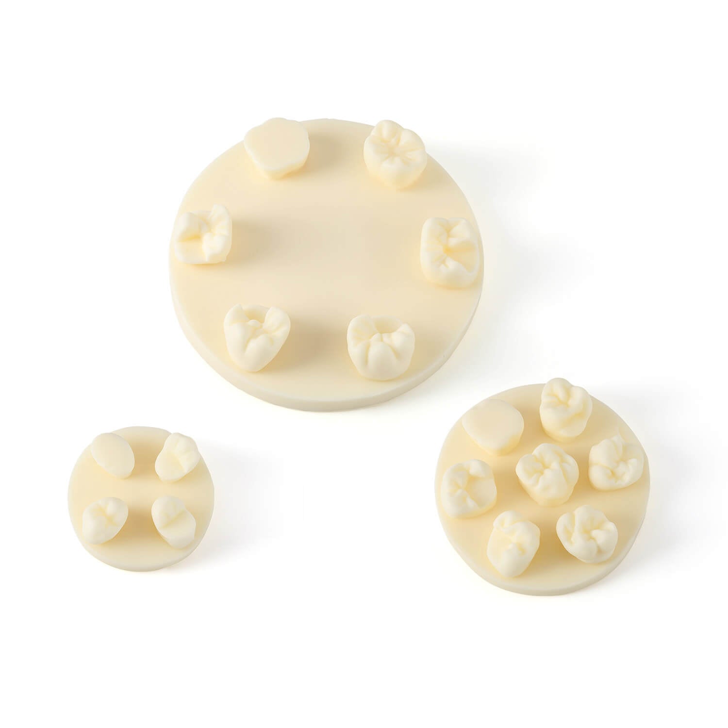 Dental Tooth Morphology Practice Model Gypsum/Resin Model Wax Up U6/L6/U4 Positions Training Kit - azdentall.com