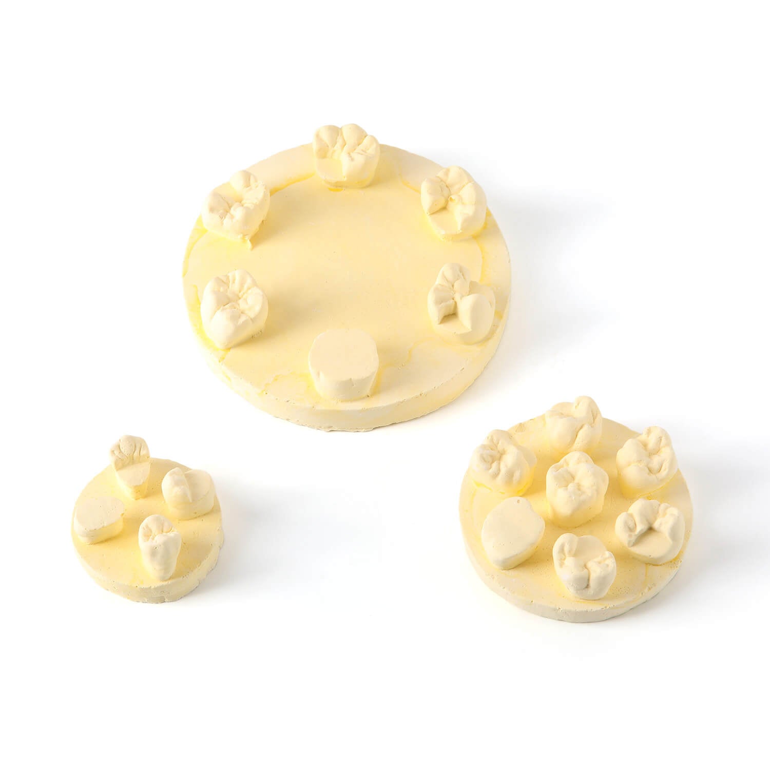 Dental Tooth Morphology Practice Model Gypsum/Resin Model Wax Up U6/L6/U4 Positions Training Kit - azdentall.com