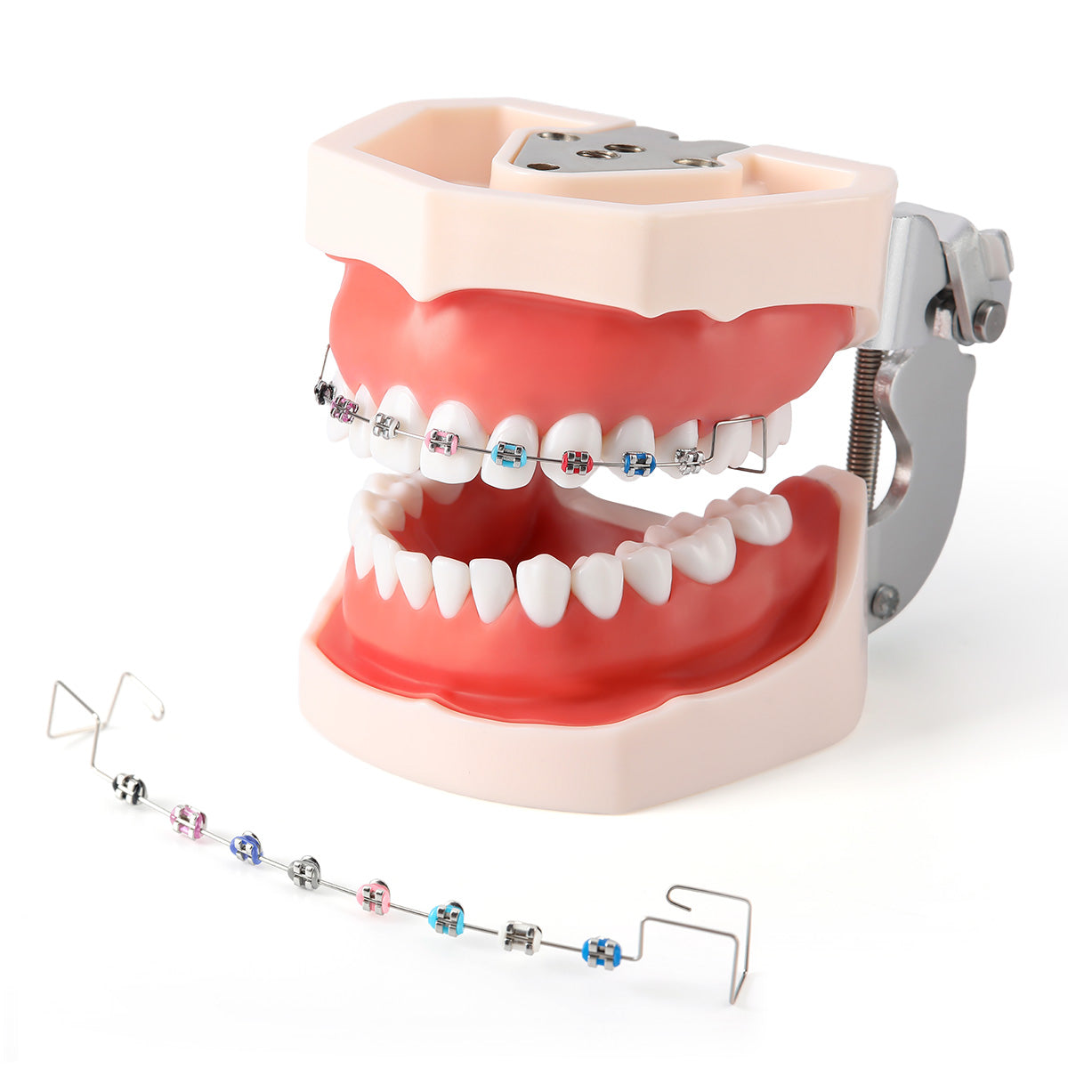 Orthodontic Temporary Tooth Decoration with Metal Archwires Bracket and Ligature Ties 2pcs/Pair - azdentall.com