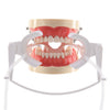 Dental Adjustable Orthodontics Nola Cheek Retractor With Dry Field System White/Green - azdentall.com