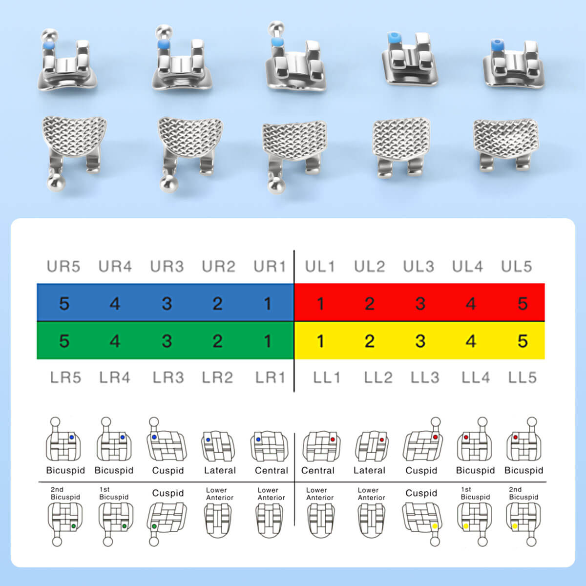 Dental Metal Brackets Braces Mesh Base Mini Roth/MBT 0.022