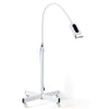 Dental Portable 3-Color Cold Light LED Teeth Whitening Machine BM01F Floor Stand Model - azdentall.com