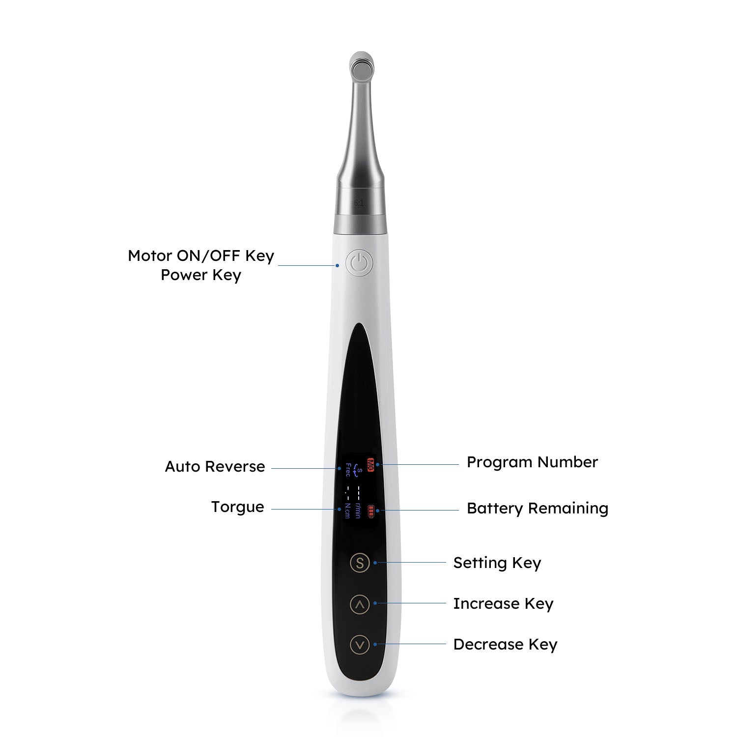 Dental Endo Motor with Apex Locator and Dental Polisher Machine - azdentall.com
