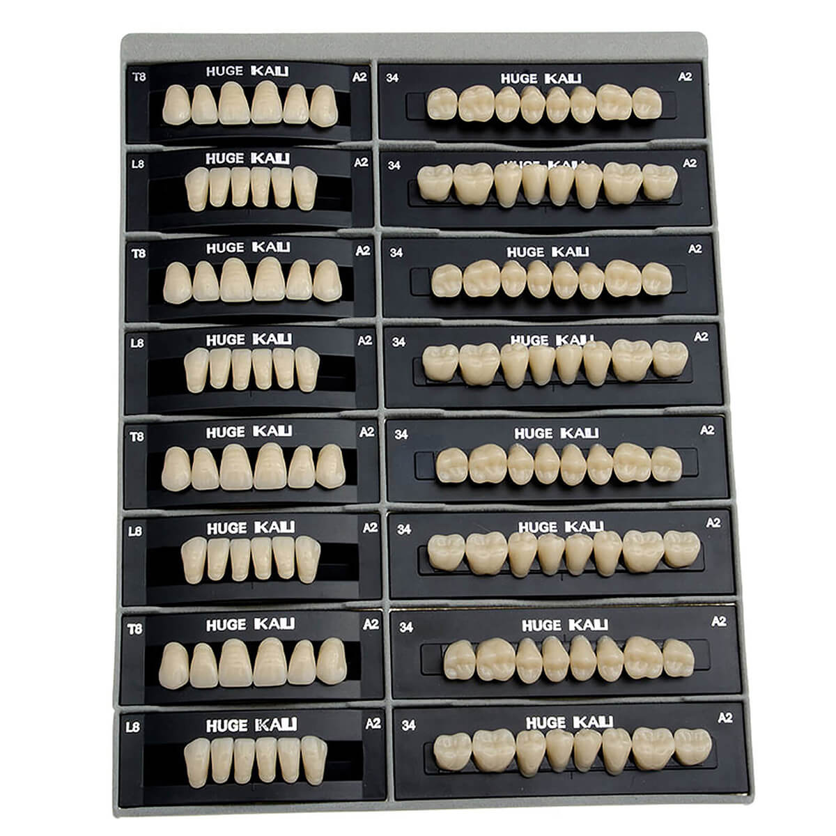 その他 Forelabs denture teeth A2 Dental Synthetic Polymer Teeth Resin Denture A1/A2/A3 28 Teeth/Set