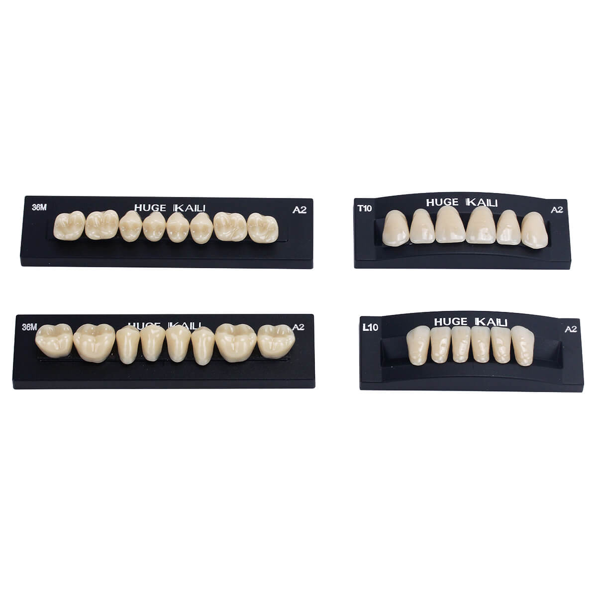 Dental Synthetic Polymer Teeth Resin Denture A1/A2/A3 28 Teeth/Set - azdentall.com