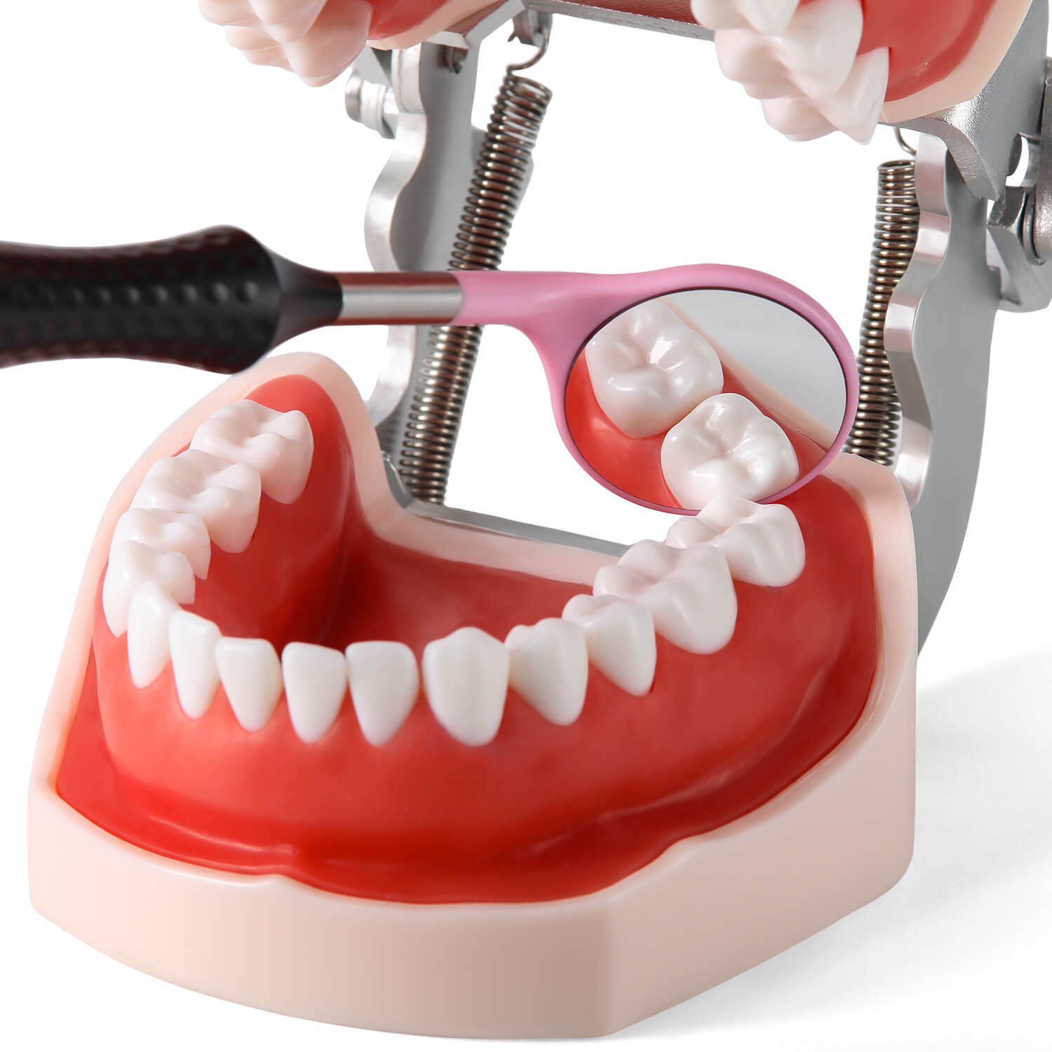 Dental Ultra Clear Mouth Mirror Colorful Plastic/Metal Heads & Handle - azdentall.com