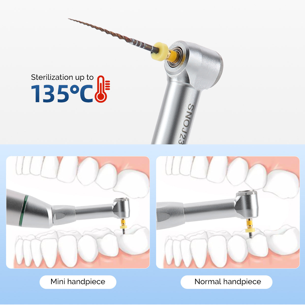 AZDENT Dental Wireless Endodontic Motor Root Canal Treatment With 16:1 Electric Contra Angle 9 Programs - azdentall.com