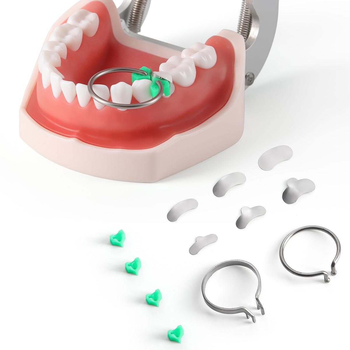 Dental Sectional Contoured Metal Matrices Matrix Ring With 40Pcs Silicone Delta Wedges 100Pcs/Box