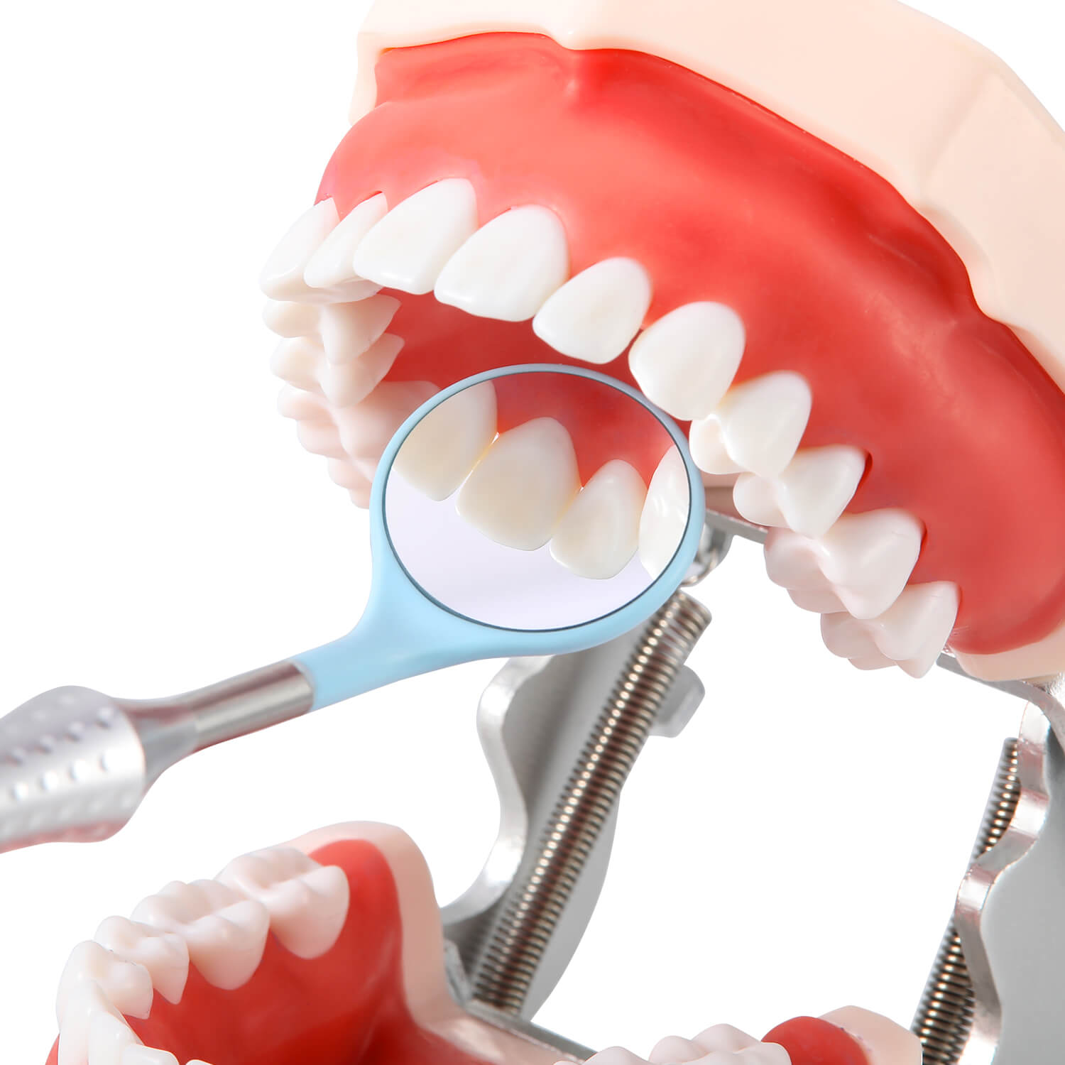 Dental Ultra Clear Mouth Mirror Colorful Plastic/Metal Heads & Handle - azdentall.com